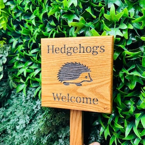 Hedgehog garden sign Handmade High Quality Chunky Oak laser engraved hedgehogs welcome garden sign. Rope hanging or ground stake options.
