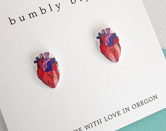 ANATOMICAL HEART Earrings / Hypoallergenic Titanium Post- Anatomy and Physiology Medical Student Cardiologist Gift Nurse Gift Birthday