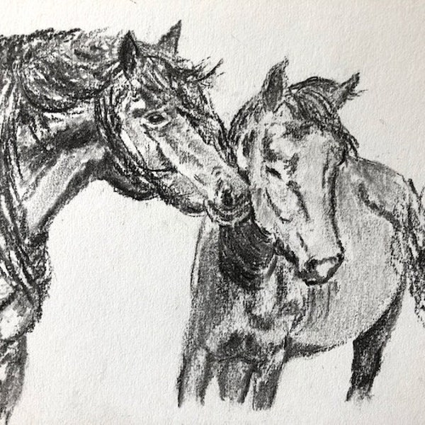 Dessin original de cheval au fusain, art unique, portrait d’animal.