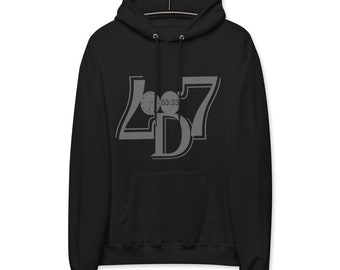 LD007 Unisex Fleece Hoodie In Gray