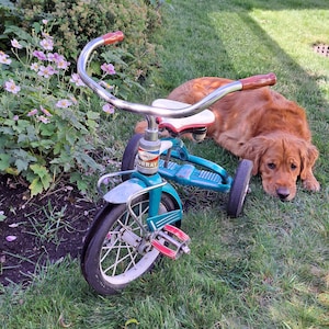 Original 1959 Murray Tricycle, Turquoise/White Frame, White/Red Troxel Seat, Vintage Childrens Tricycle, Home Decor, Vintage Playroom, Cute!