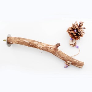 Cottonwood Perch for Birds - Ready to Ship