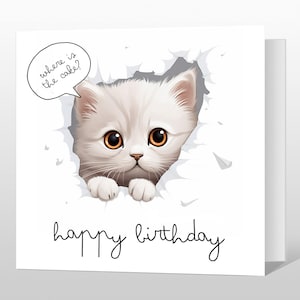 Funny Cat Birthday Card - Cat Birthday Card - Happy Birthday Card for friend - Cute Cat Birthday Card, Birthday Card from the cat, feline