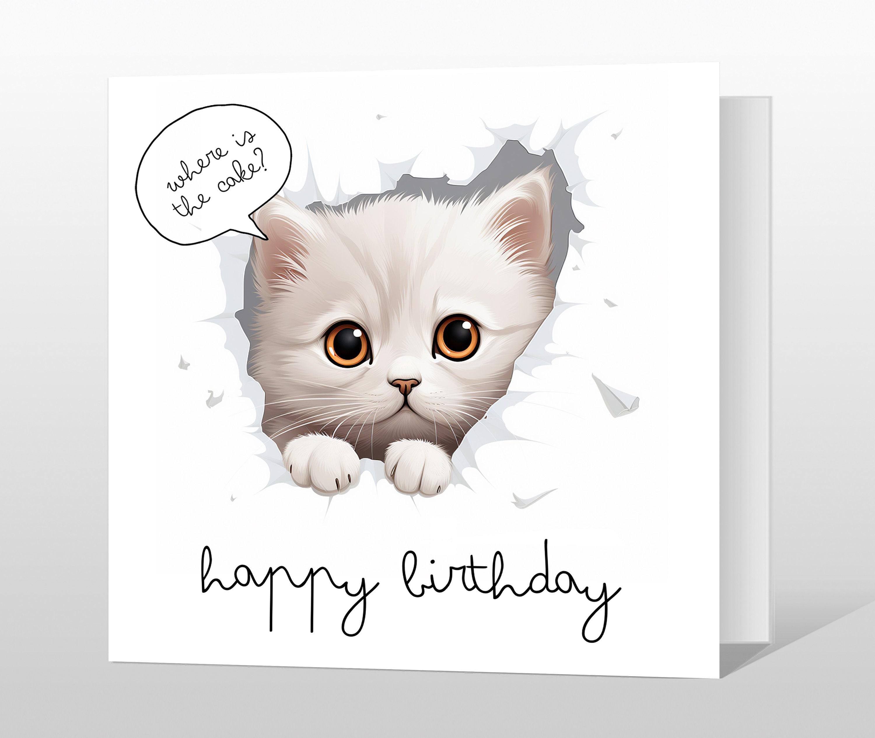 Funny Cat Birthday Card – 'Where is the Cake?' - Etsy België, image size:3000x2531