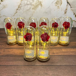 10 pcs Beauty and the Beast with LIGHT, Wedding Favors for guest, Sweet 16 Favors, Quinceañera Favors, Party Favors, Rose Favors.