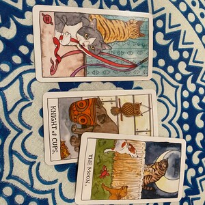 May include: Three tarot cards with cat illustrations. The first card is the Three of Wands, featuring a cat playing with a red ribbon. The second card is the Knight of Cups, featuring a cat holding a cup. The third card is The Moon, featuring a cat sitting on a fence with a full moon in the background.