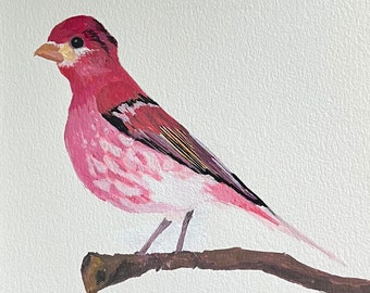Purple Finch Painting, Original Art, Gouache Painting