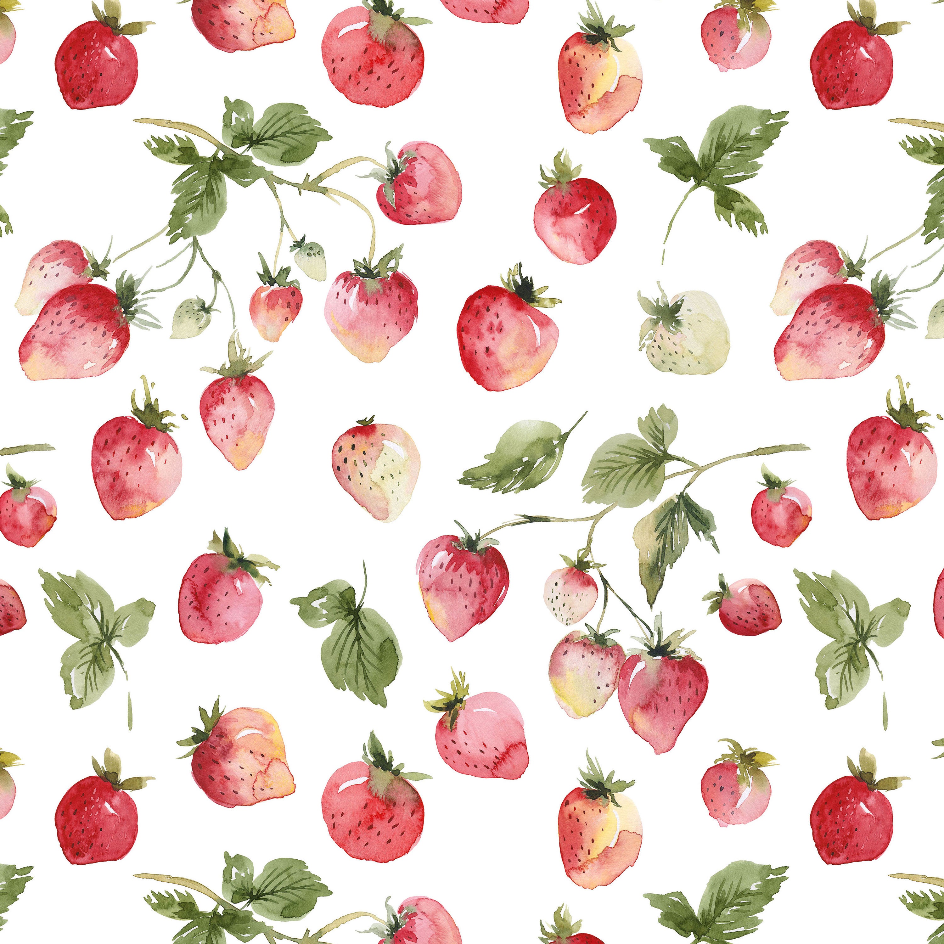 Wild Strawberries in Kona Cotton for Quilting and Organic Knits Fabric by  the Yard - Watercolor Fruit, Strawberry