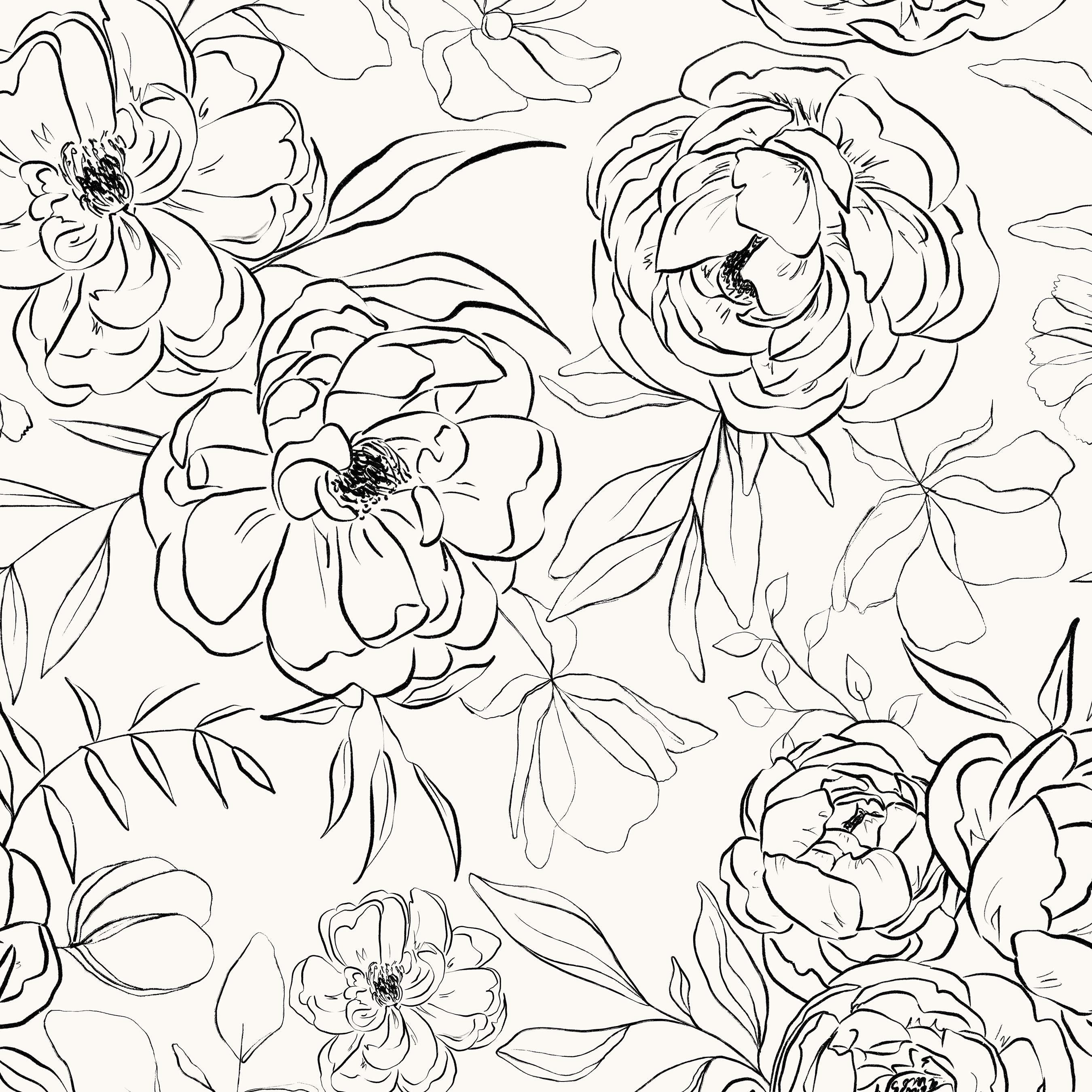 Sketch Floral Fabric, Black on Off-White, Peony Flowers, Botanical, Kona Cotton, Cotton Sateen, Cotton Spandex, Canvas Fabric by the Yard