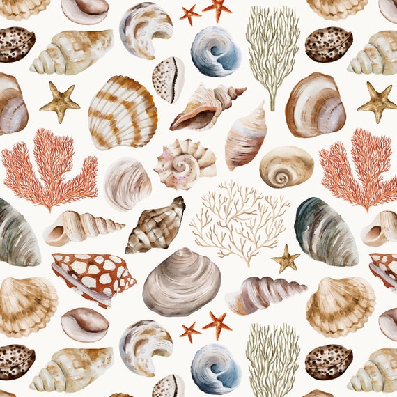 Sea Shell Fabric, Summer Beach, Coastal, Kona Cotton, Sateen, Sport Lycra, Knit, Linen Cotton Canvas Fabric by the Yard