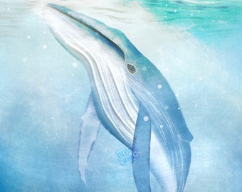 Humpback Whale Tablet Wallpaper