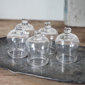 Peut inclure: Cinq cloches en verre transparent avec des dessus arrondis et de petites poignées en forme de bouton sont disposées sur un plateau en métal décoratif. Les cloches sont transparentes, permettant de voir la surface en dessous. Le plateau a un aspect texturé et antique.