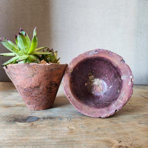 Puede incluir: Dos macetas rústicas de color terracota. Una contiene una suculenta verde con hojas de puntas moradas. La otra, una maceta vacía, es de color burdeos oscuro por dentro. Ambas tienen un aspecto envejecido y texturizado.