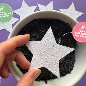 Plantable Seed Paper Stars, Plantable Seed Paper Wedding Favours, Plantable Star Gift Tags, Plantable Star Party Favours, Seed Paper Favors