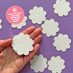 Plantable Baby Shower Favours, Paper Flowers Baby Shower Seed Favors, Eco Friendly Gift Seed Favours, Flowers Handmade Bulk Seed Packet