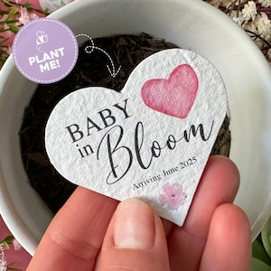 Custom Baby Shower Favours Plantable Seed Paper Hearts, Plantable Seed Paper Hearts Baby In Bloom, Personalised Seed Favours Gift Tags Bulk
