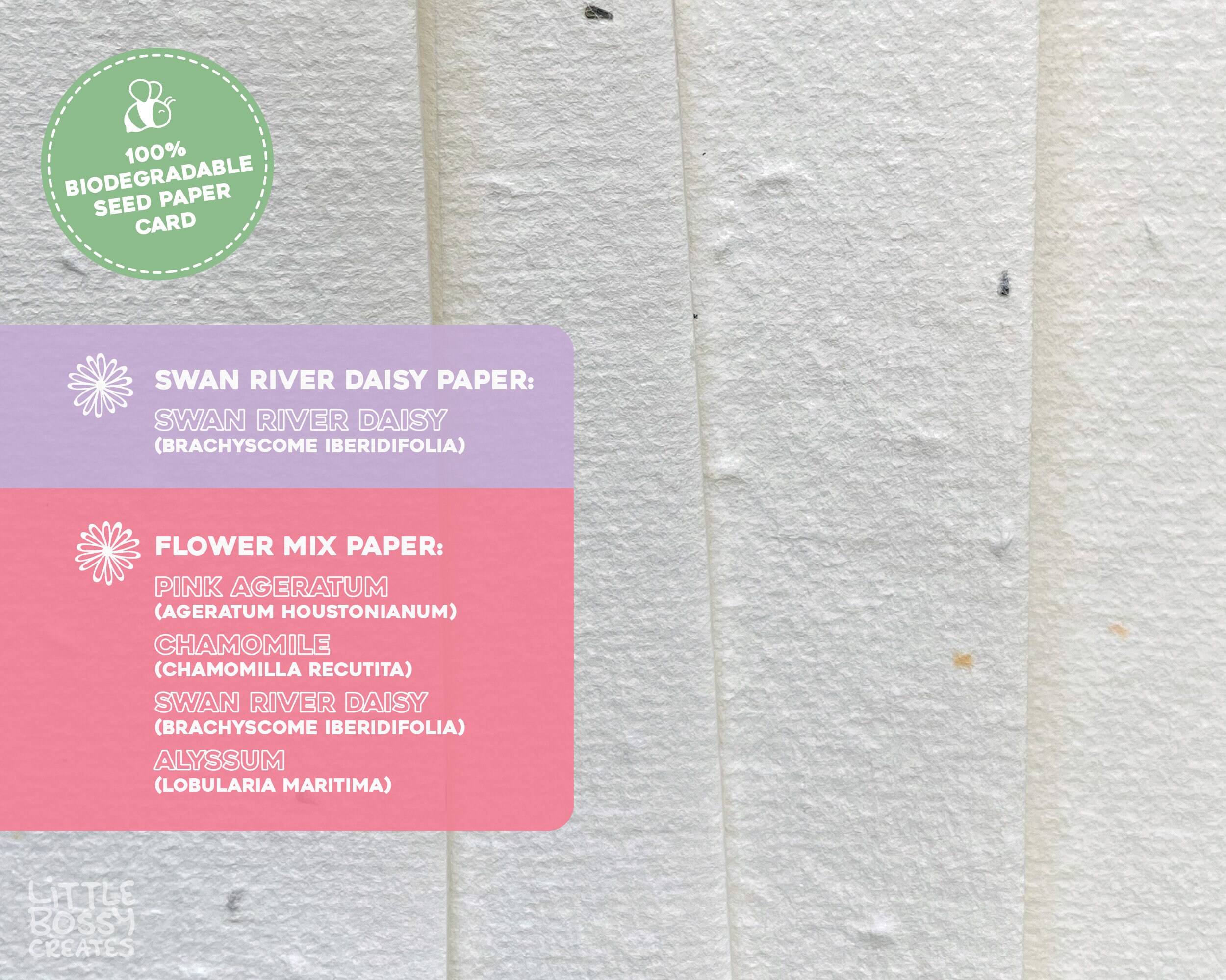 Thank You Cards, Flower Card Set With Envelopes - Set Of 12, 24, 36 Or 48 For Wedding Bridal Shower Thank You Cards