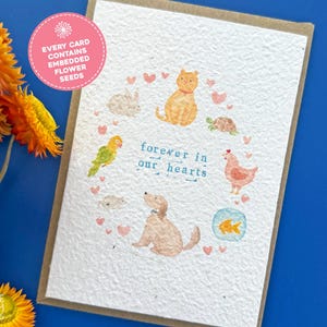 Plantable Pet Veterinary Sympathy Card, Veterinary Sympathy Cards, Pet Loss Plantable Seed Card, Bereavement Card, Pet Condolence Seed Card