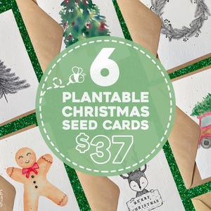 Christmas Card Pack Handmade, Seed Paper Plantable Christmas Cards Set of 6, Assorted Christmas Greeting Cards Bundle, Christmas Cards Bulk