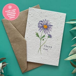 Swan River Daisy Plantable Thank You Card, Seed Paper Thank You Daisy Wildflower Card, Eco Friendly Seeded Plantable Handmade Greeting Card