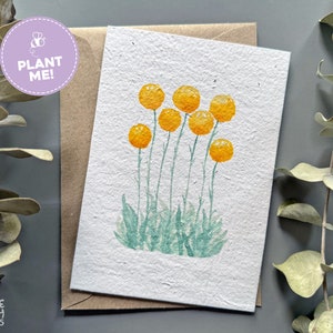 Plantable Seed Card Billy Buttons, Plantable Seeded Paper Card with Envelope, Thank You Seed Card, Birthday Card, Handmade Flower Seed Card