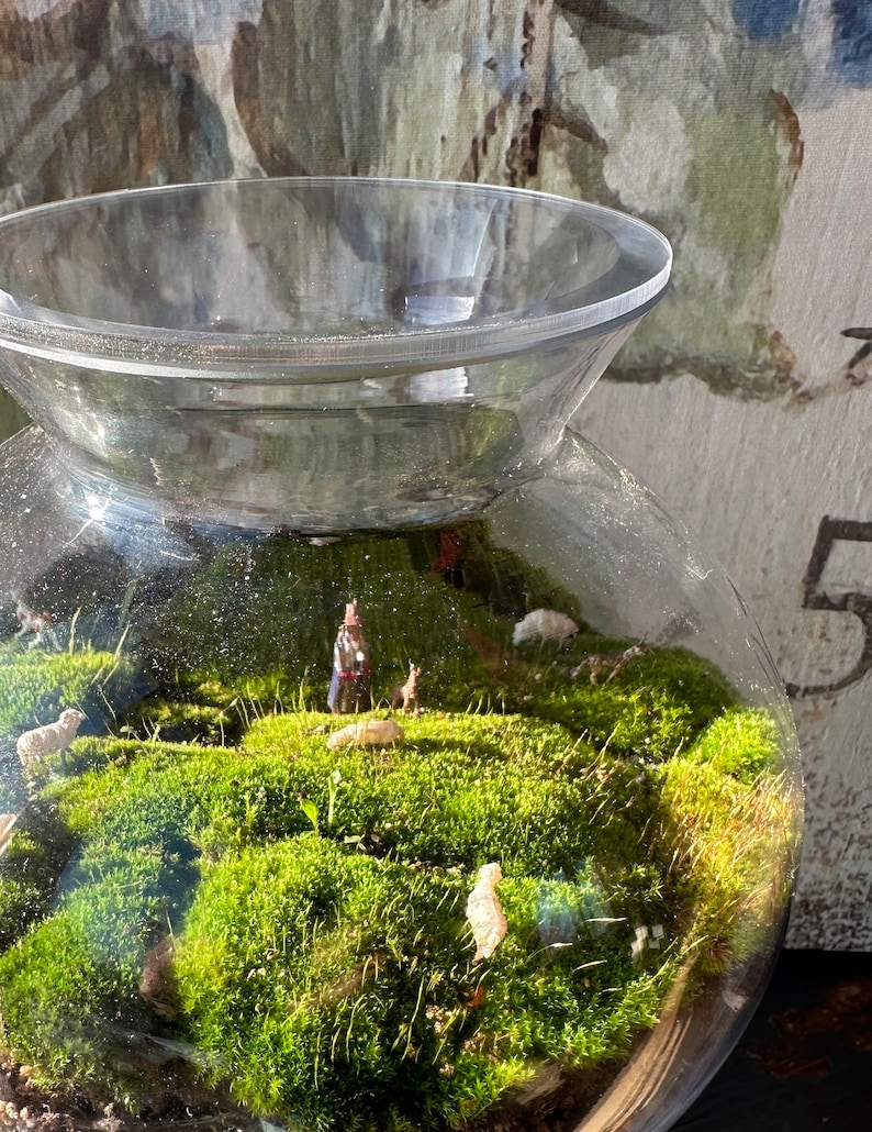 TerraTopper Closed Terrarium Lid, Mossarium Lid, Vivarium Lid Custom Order Exact Fit To Turn Any Jar, Bowl or Glassware into a Terrarium image 4