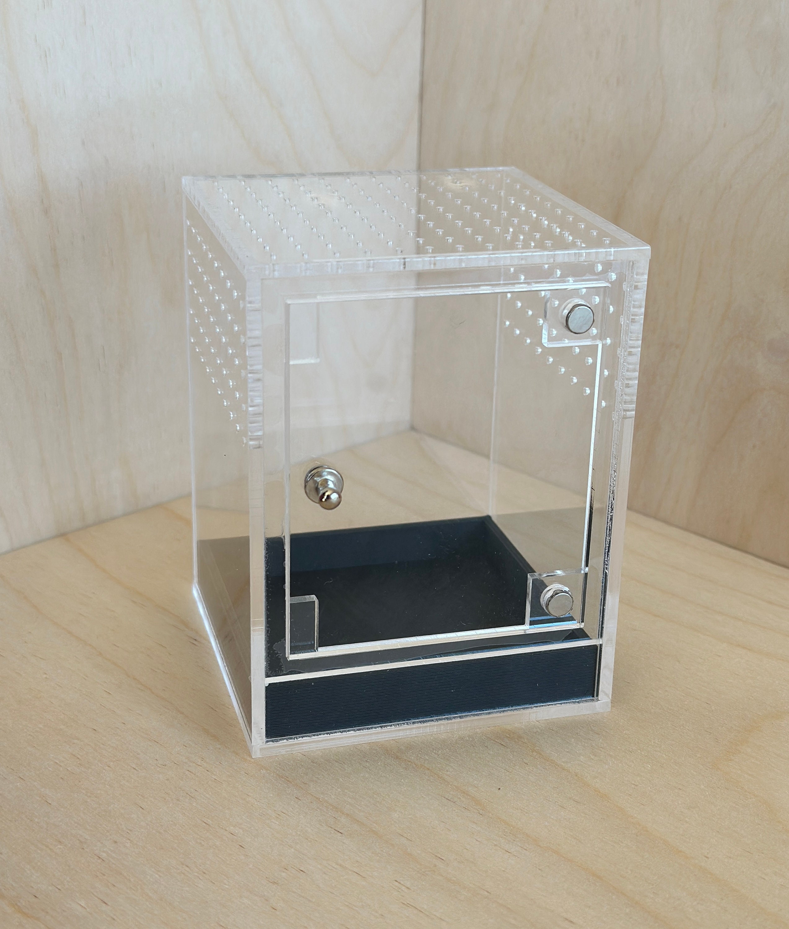 Made-to-order Wizard's Study Jumping Spider Enclosure,jumping