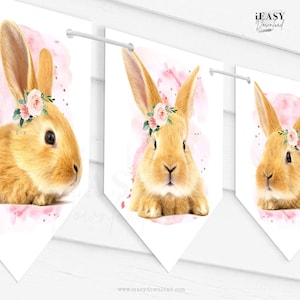 Some Bunny Bunting Banner Decor | Floral Rabbit Baby Shower Banner | Bunny Deco Rabbit Images Birthday Banner Sold As Is Print Yoursel BNN1