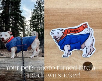 Custom Pet / Dog Sticker - Gift, Personalized, Christmas, Stocking Stuffer, Mom, Dog Lover, Water Bottle, Laptop, Name, Cat, Animal, Family