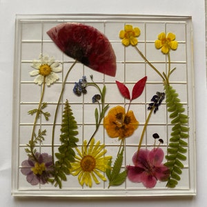 pressed flower art, botanical frame, resin wall art, herbarium wall decor, framed dried flowers, wall hanging, house warming gifts,