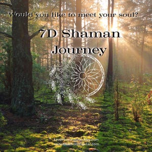 7D Shamanic Soul Journey to Your Soul to Meet your Soul Self, Get Your Soul’s Life Support, Akashic Journey, Pyschic Reading