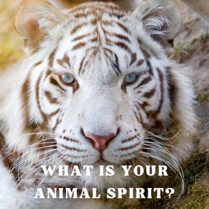 What is your Animal Spirit? Digital Audio file of your Animal Spirit Guide reading, psychic reader