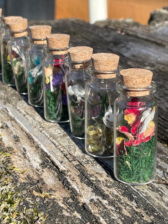 A tiny vial filled with bones and dried florals — the kind of miniature curio that looks like it fell out of a Victorian apothecary and costs less than a candle.