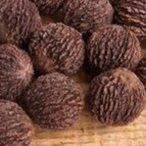 May include: A close-up of a group of dark brown walnut shells. The shells are smooth and have a textured surface.