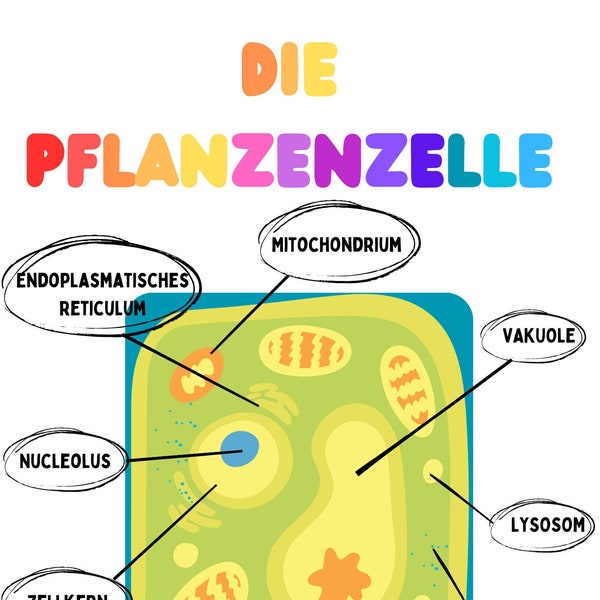 Lernhilfe Biologie Pflanzenzelle - Pädagogisches DIY-Kit für Kinder Lernspaß Schule Kindergarten Nachhilfe Homeschooling Deutsch