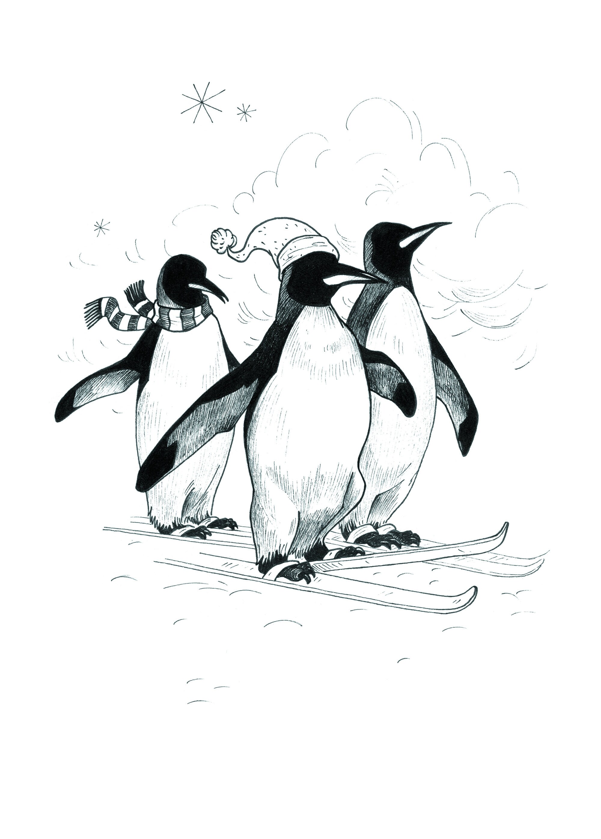 Pingouins A4
