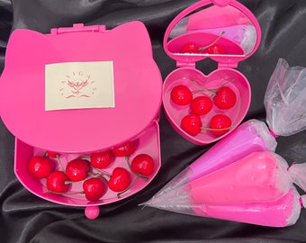 Cajas de joyería DIY decodificadas personalizadas SASIGALS™