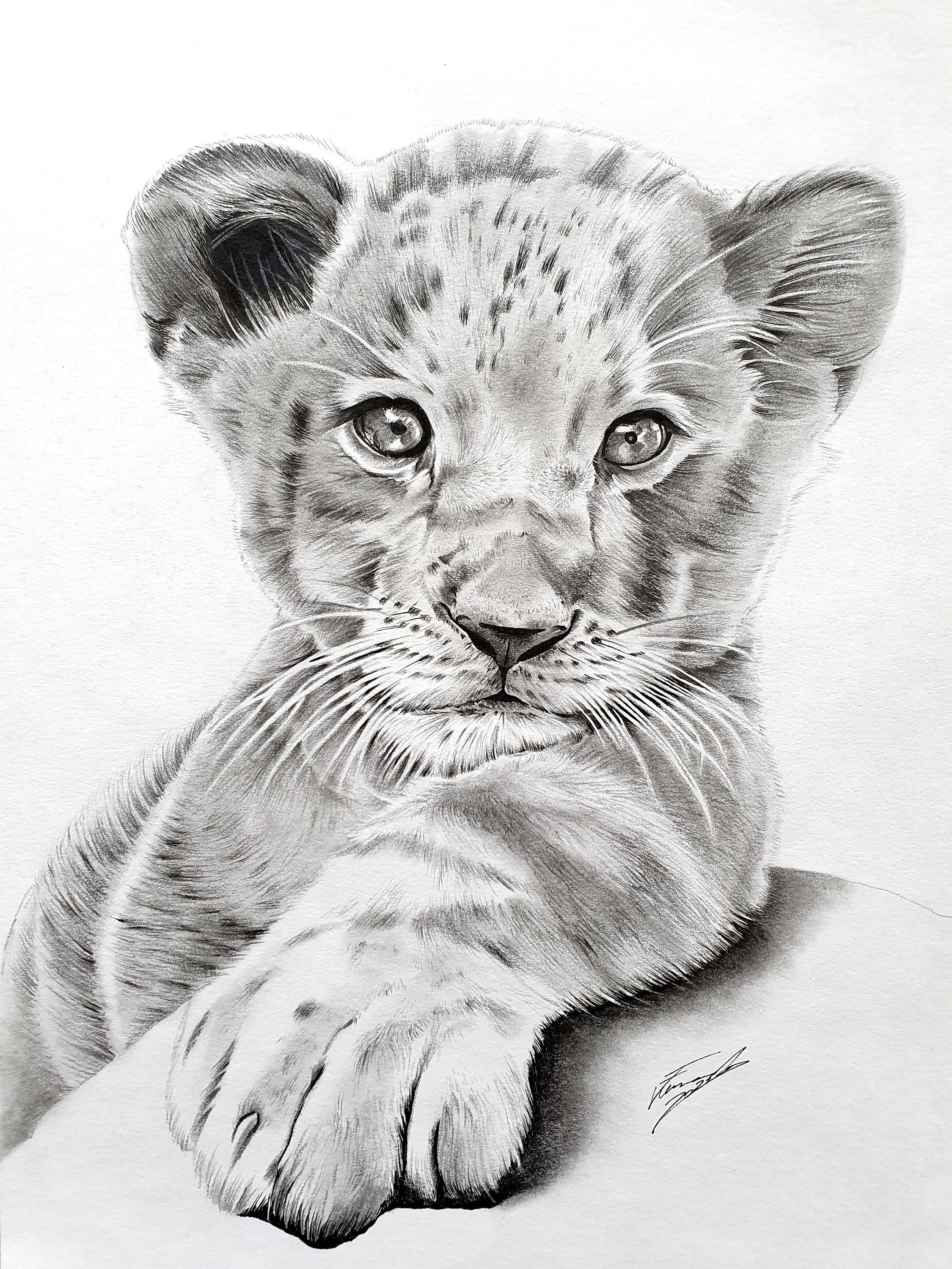 How to Draw a Lion Cub  YouTube