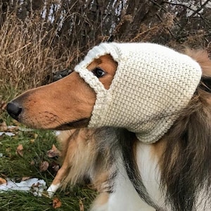 May include: A white crocheted dog cone with a hole for the dog's nose and eyes. The cone is worn by a brown and white dog with long fur.