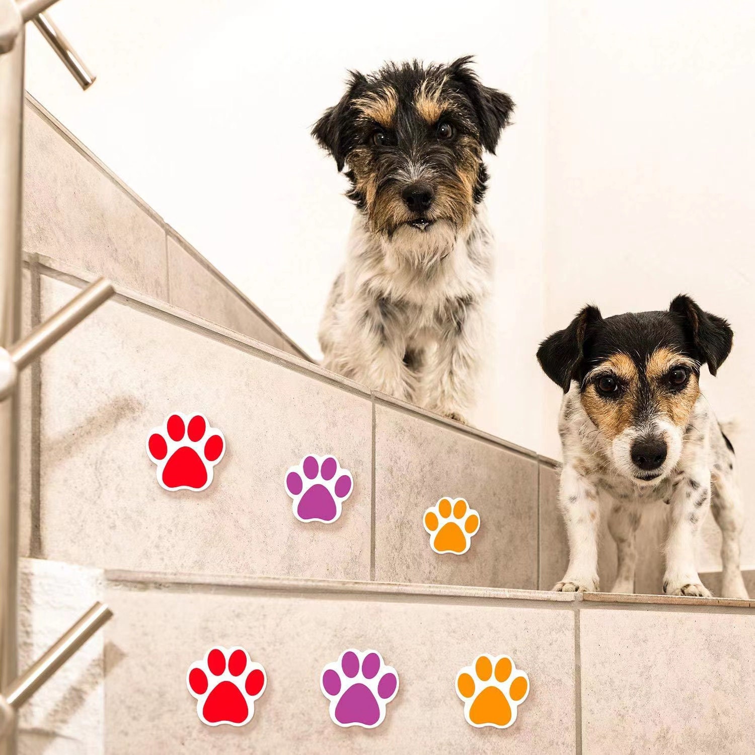 Colorful Bear Paw Print Stickers Dog Puppy Paw Labels for Craft Gift ...