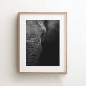 Animal Wall Art Print, Black And White Elephant Photo, Printable, Elephants Poster, Africa Interior Decor, Elephant Fine Art Print