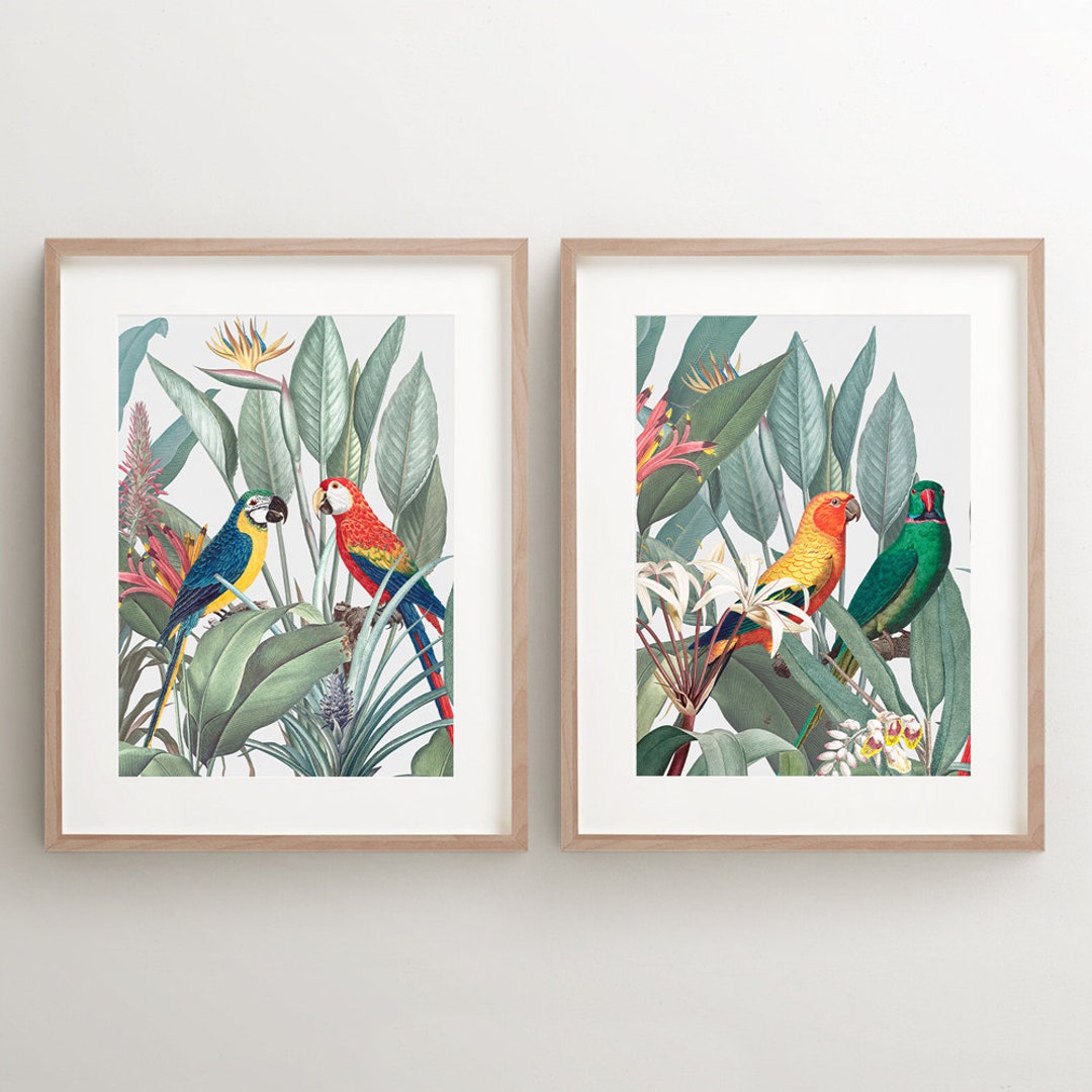 Vintage Bird Wall Art SET, Set of 2 Birds Art, DIGITAL DOWNLOAD Parrot