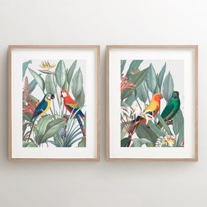 Vintage Bird Wall Art SET, Set of 2 Birds Art, DIGITAL DOWNLOAD Parrot Print, Tropical Decor, Antique Illustration, Macaw Print Poster