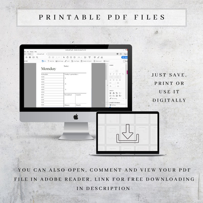 Puede incluir: Una pantalla de ordenador que muestra un archivo PDF imprimible de un planificador diario. El planificador tiene una secci&oacute;n para un horario, notas y una lista de tareas. El texto en la pantalla dice "Lunes".