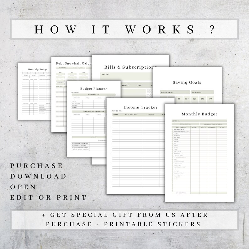 May include: Printable budget planner worksheets with titles "Monthly Budget", "Debt Snowball Calculator", "Bills & Subscriptions", "Budget Planner", "Income Tracker", "Saving Goals", and "Monthly Budget". The worksheets are on white paper with gray lines and text.