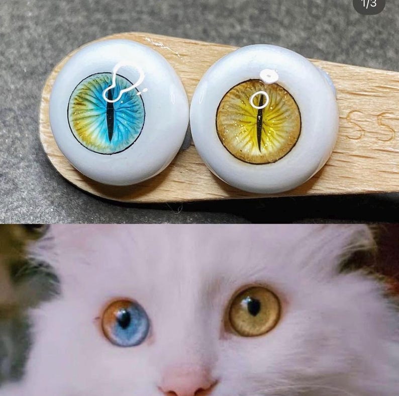 Pode incluir: Dois olhos de vidro para fazer bonecas, um com uma &iacute;ris azul e amarela e o outro com uma &iacute;ris amarela e marrom. Os olhos est&atilde;o em uma superf&iacute;cie de madeira.