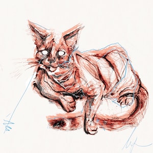Cat Gone Mad. Print of a pencil/fineliner drawing that has been digitally edited