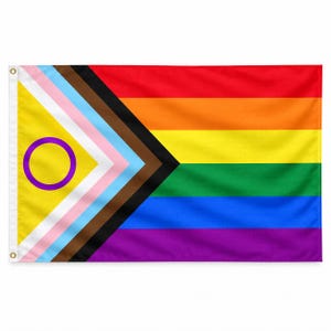 Op de afbeelding: Een rechthoekige vlag met het regenboogontwerp met zes banen aan de rechterkant en een chevron aan de linkerkant. De chevron bevat lichtblauwe, roze, witte, bruine en zwarte banen, met een gele driehoek met een paarse cirkel.