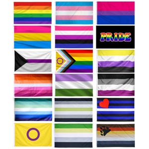 Bandiera Pride 150 x 90 cm - Lesbica - Bisessuale - Trans - Pansessuale - Asessuale - Queer - Non binario