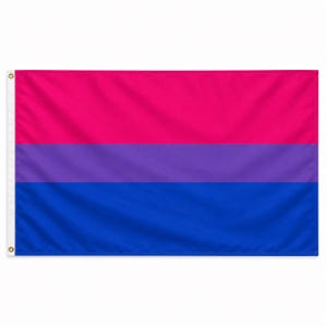 Puede incluir: Una bandera rectangular que presenta tres franjas horizontales de igual anchura. La franja superior es de color rosa brillante, la franja central es de color morado y la franja inferior es de color azul. El lado izquierdo tiene una franja blanca con dos ojales.
